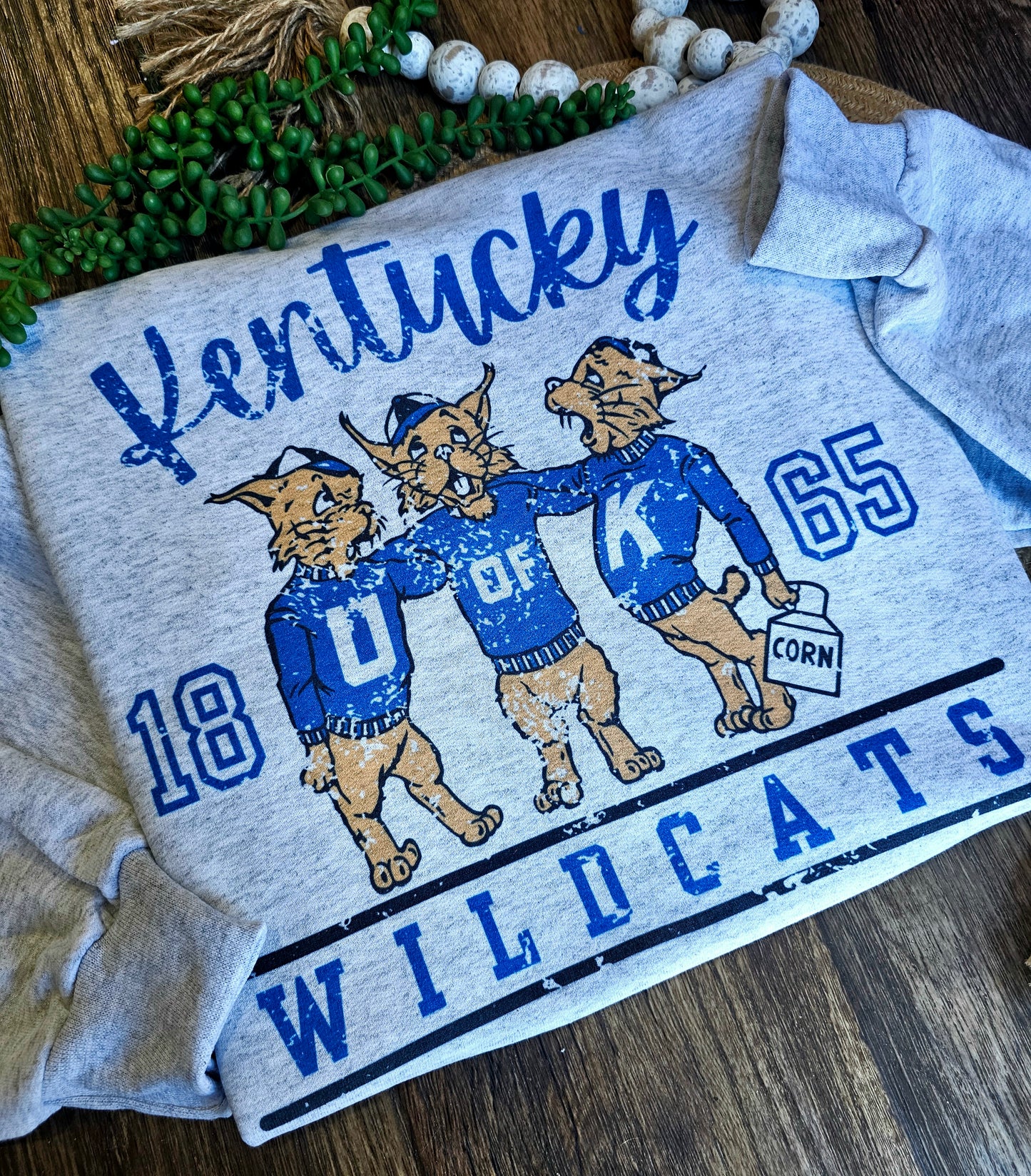 Vintage Kentucky Wildcats 1865