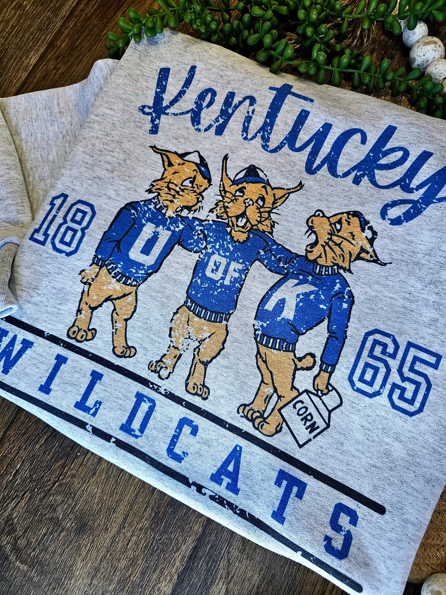 Vintage Kentucky Wildcats 1865