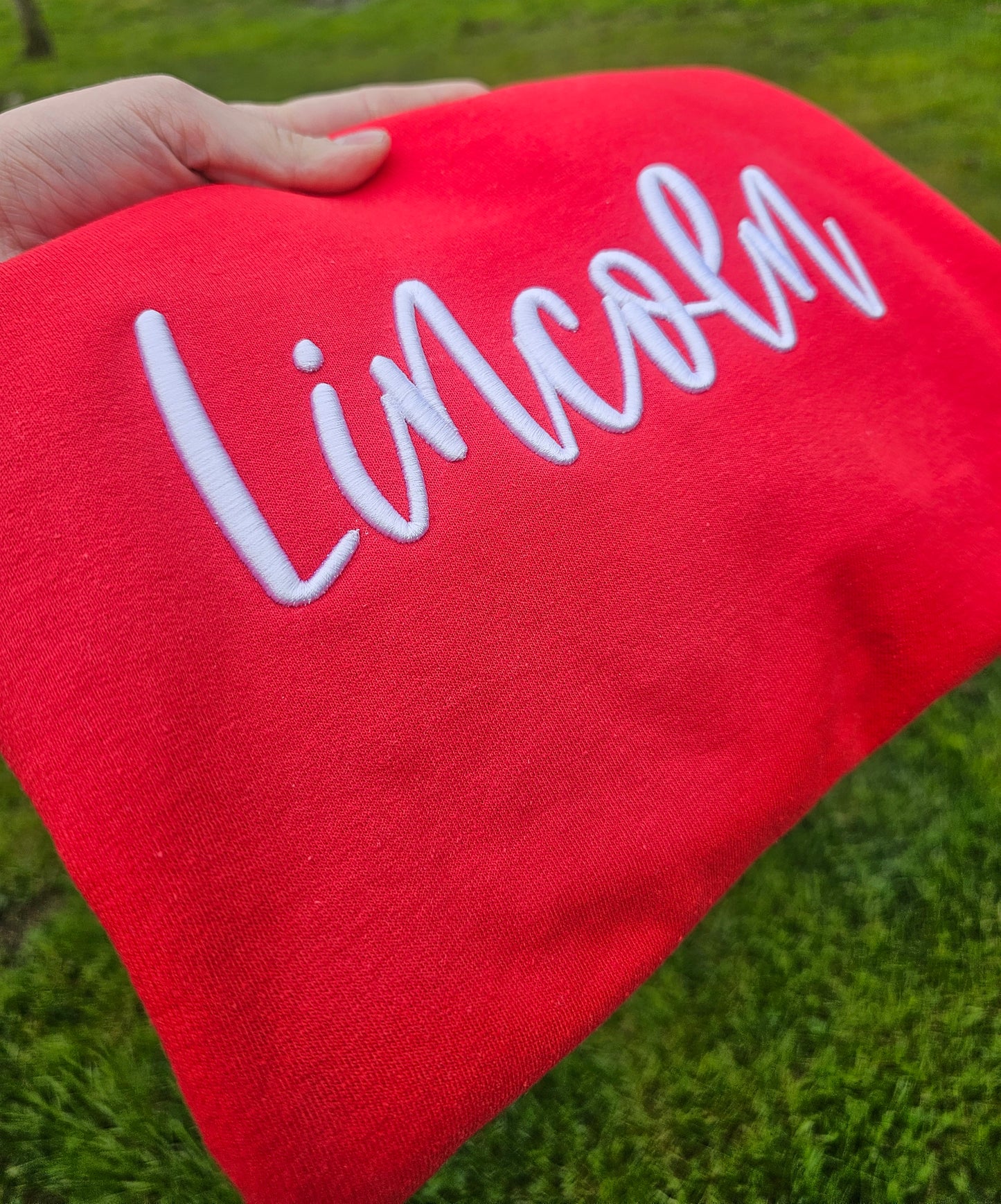 Lincoln 3D Puff Embroidered Sweatshirt